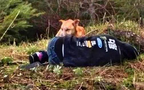 女子为救路边流浪狗,躺在地上让其放下戒备,狗狗举动感人休闲区蓝鸢梦想 - Www.slyday.coM 女子为救路边流浪狗,躺在地上让其放下戒备,狗狗举动感人休闲区蓝鸢梦想 - Www.slyday.coM