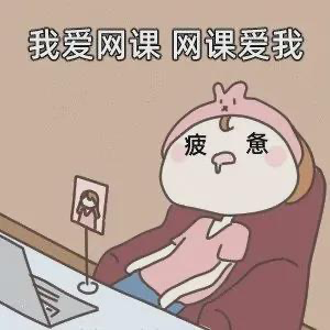 大学生居家上网课最佳拍档找到了吗