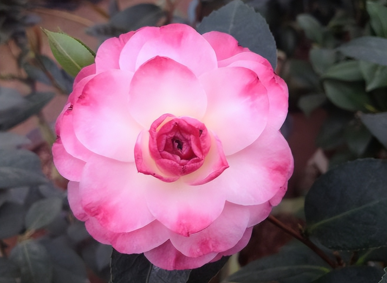 出生在哪些时辰的人，穷也受欢迎，富也能平稳，长啥样都好命休闲区蓝鸢梦想 - Www.slyday.coM