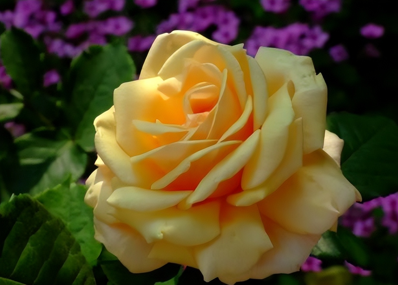 出生在哪些时辰的人，穷也受欢迎，富也能平稳，长啥样都好命休闲区蓝鸢梦想 - Www.slyday.coM