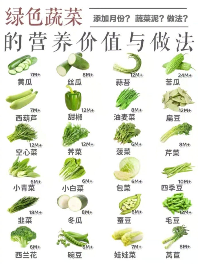 绿色蔬菜说明书