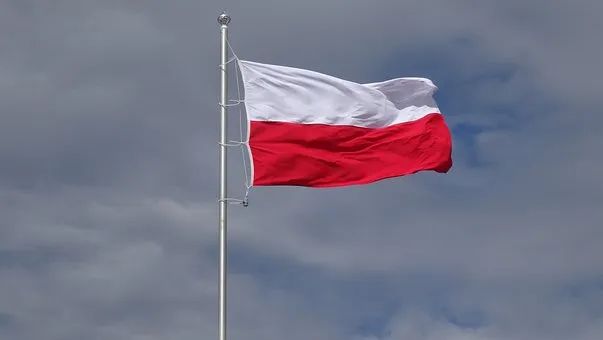 摩纳哥和波兰国旗图片