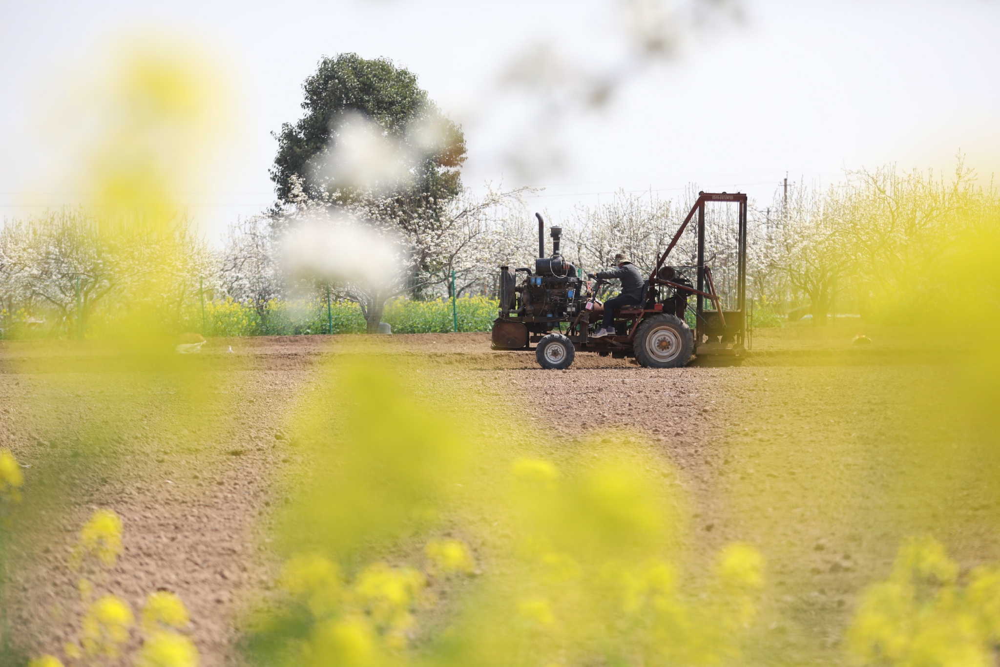 用长牙齿措施让每一寸耕地实至名归
