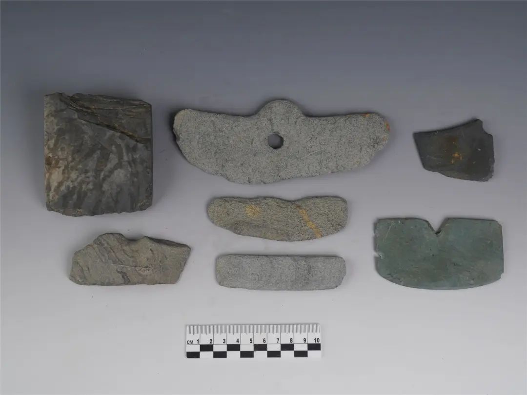 2021年度全国十大考古新发现终评会今天在北京举行，陕西2项入围！休闲区蓝鸢梦想 - Www.slyday.coM