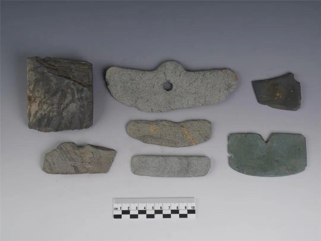 正定开元寺南遗址入围 2021年度全国十大考古新发现终评会今天在京举行休闲区蓝鸢梦想 - Www.slyday.coM