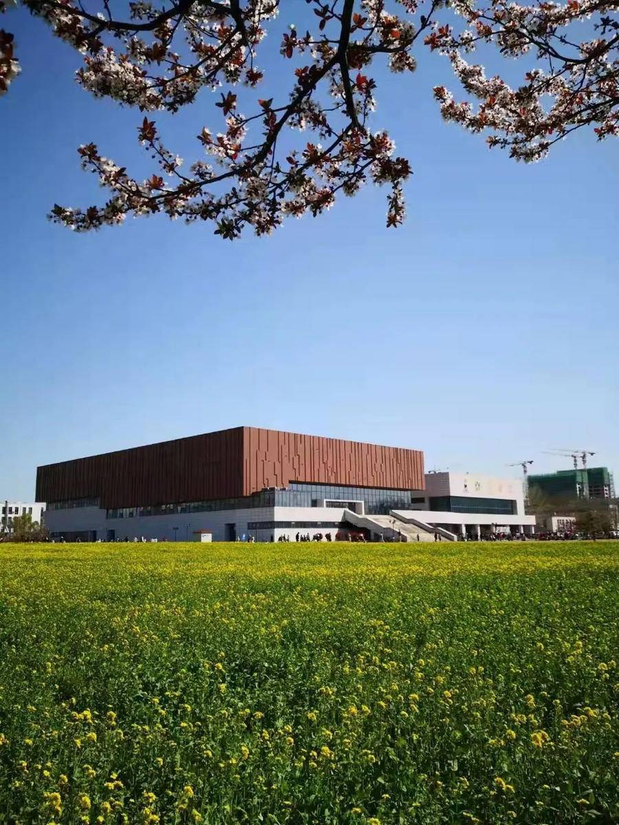 共享校园春光齐鲁工业大学微风过一树树繁花绚丽烂漫