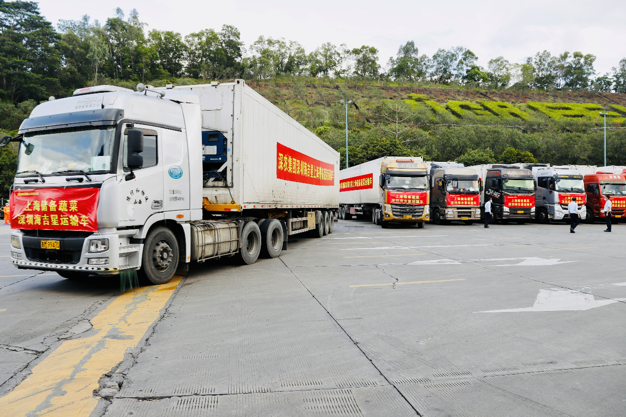"3月30日下午5点,36辆满载近500吨新鲜蔬菜的冷链货柜车从深圳海吉星
