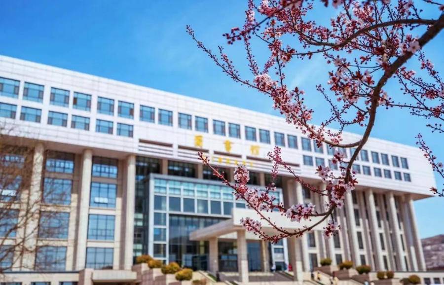 共享校园春光齐鲁工业大学微风过一树树繁花绚丽烂漫