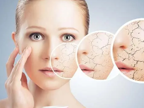 维矿分层双层片