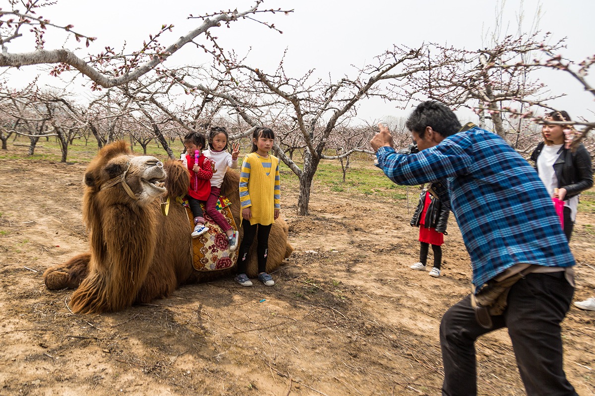 男子到处赶花海庙会,高峰时日入千元休闲区蓝鸢梦想 - Www.slyday.coM 男子到处赶花海庙会,高峰时日入千元休闲区蓝鸢梦想 - Www.slyday.coM