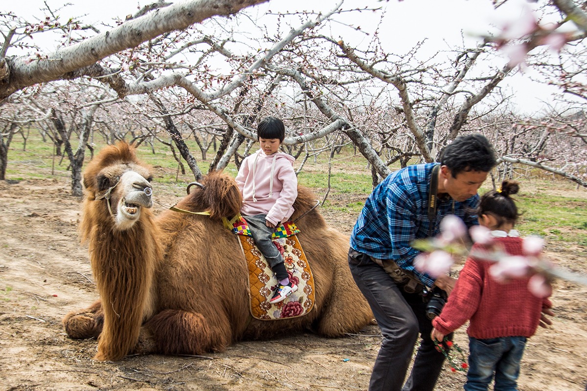 男子到处赶花海庙会,高峰时日入千元休闲区蓝鸢梦想 - Www.slyday.coM 男子到处赶花海庙会,高峰时日入千元休闲区蓝鸢梦想 - Www.slyday.coM