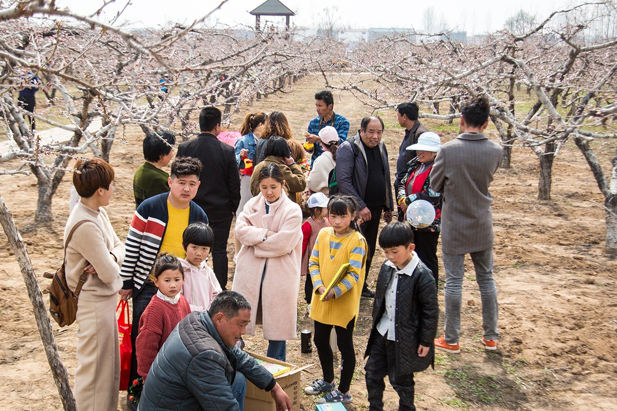 男子到处赶花海庙会,高峰时日入千元休闲区蓝鸢梦想 - Www.slyday.coM 男子到处赶花海庙会,高峰时日入千元休闲区蓝鸢梦想 - Www.slyday.coM