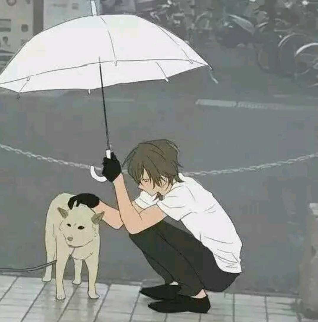 狗狗被拴在路边淋雨小哥哥为它打伞挡雨被画成了漫画