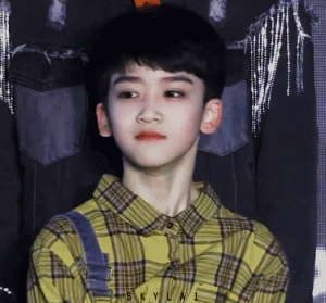 幼崽时期的邓佳鑫好像一枚奶团子