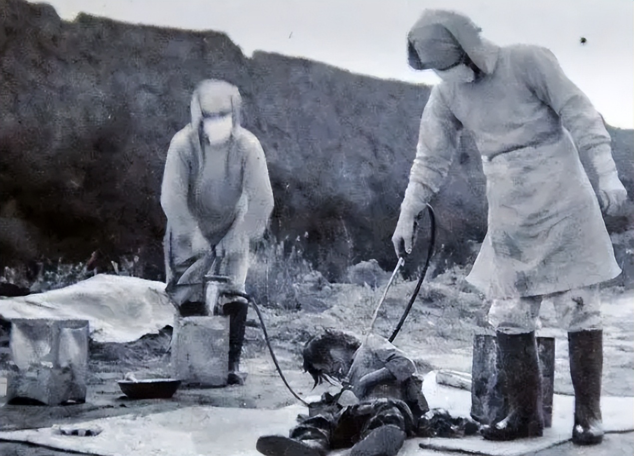 70年前中国千名儿童被强行掳走,三种结局,每一种都