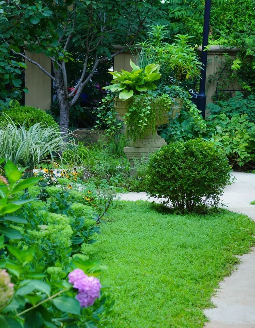 50万改造500㎡别墅庭院花园每天与花草相伴想想都很美好