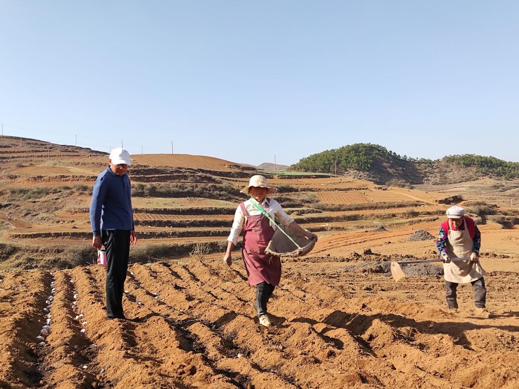 　　农业推广研究员刘飞（左一）在指导村民进行春耕。新华社记者 林碧锋 摄