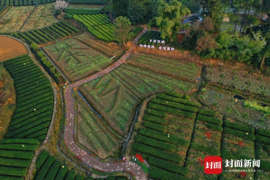 成都“茶乡”明前茶香里话“振兴”休闲区蓝鸢梦想 - Www.slyday.coM