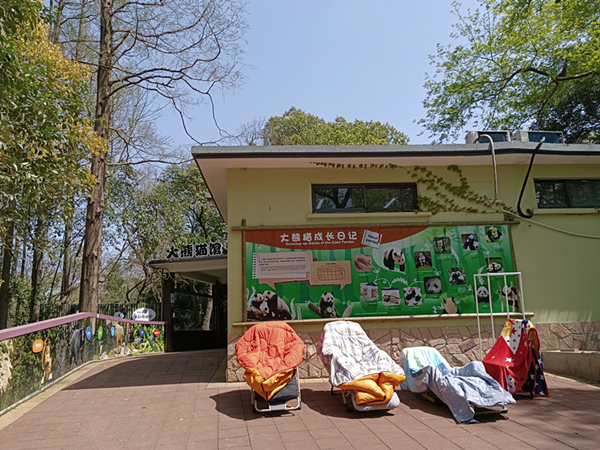 浦西封控在即 上海动物园的动物们饲料够吗？休闲区蓝鸢梦想 - Www.slyday.coM