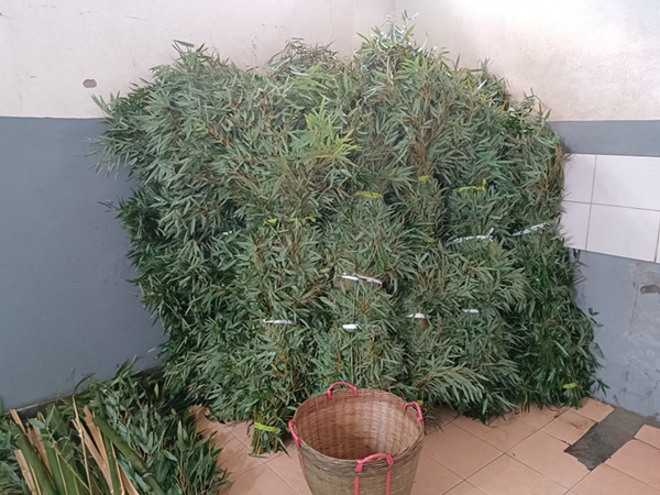 浦西封控在即 上海动物园的动物们饲料够吗？休闲区蓝鸢梦想 - Www.slyday.coM