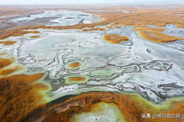 艾比湖春来风光无限好