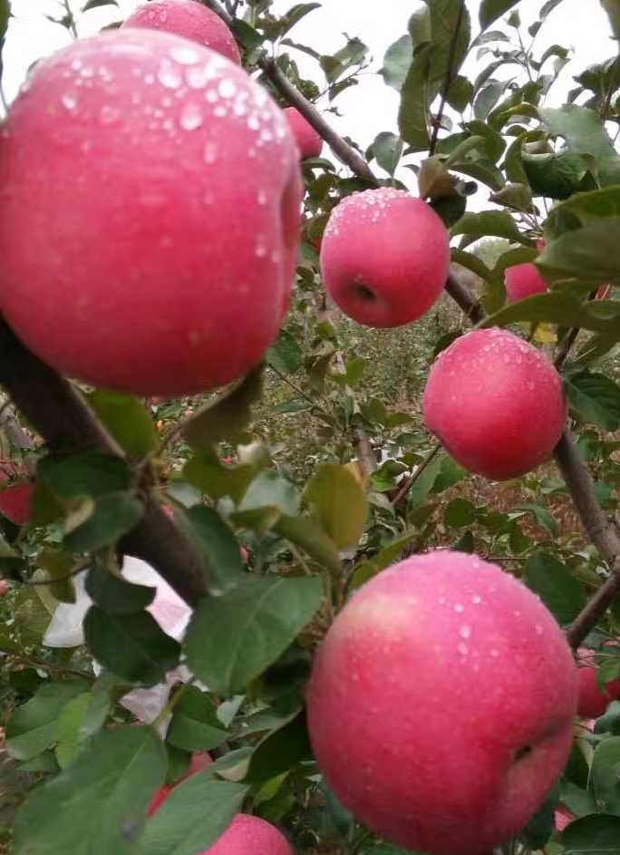 侯玉德金融文学六载情诗歌