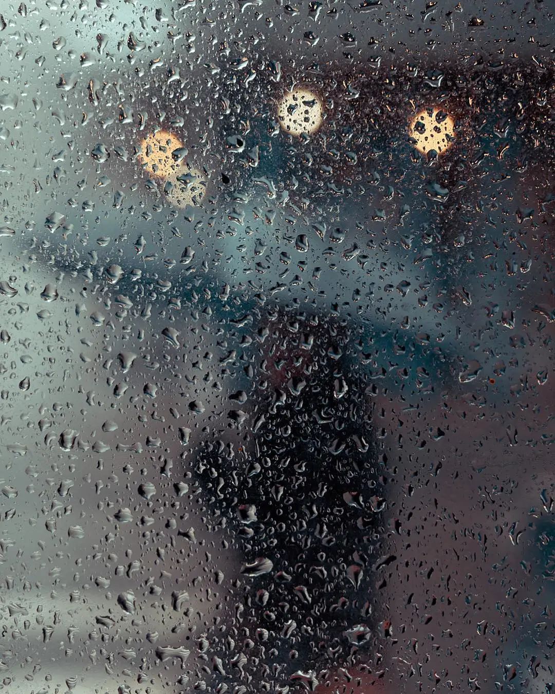 加之较为灰朦朦的环境以及被虚化的背景,照片如画般,迷幻,充满意境