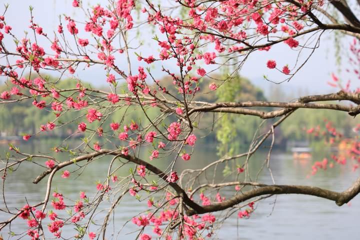 冷空气组团来袭，很快让你感受换季式降温，好在清明假期没有“雨纷纷”休闲区蓝鸢梦想 - Www.slyday.coM
