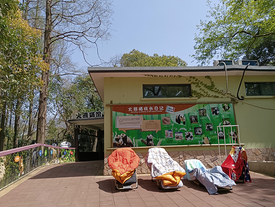 同心抗疫 上海有你｜浦西封控倒计时，这些动物仍然有人陪伴休闲区蓝鸢梦想 - Www.slyday.coM