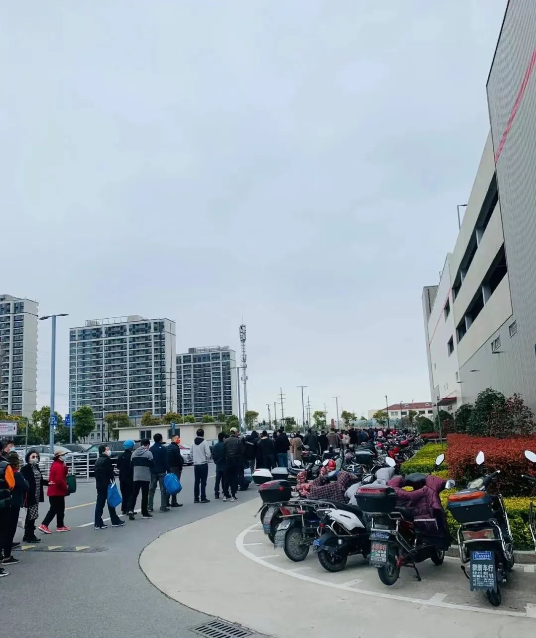 深夜重磅！上海全域静态管理，全员核酸筛查！一颗白菜卖80元被罚50万休闲区蓝鸢梦想 - Www.slyday.coM