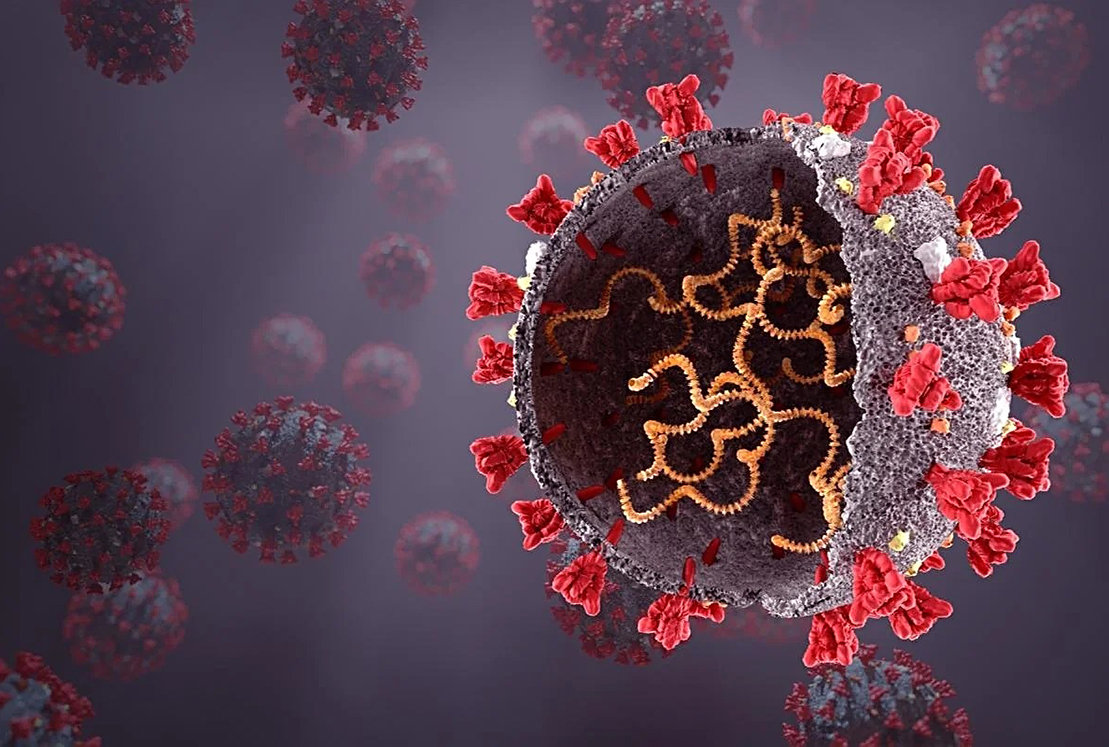 新冠病毒发现新变种xe两种奥密克戎重组而成传播速度更快10