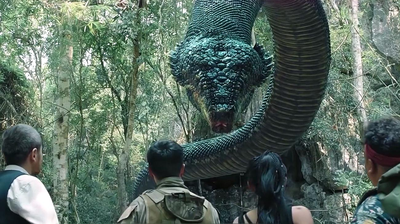 秦岭真的有盘山巨蟒吗看完地球上体型最大的蛇有多大就知道了