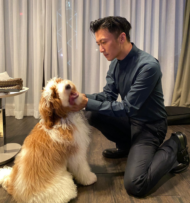 张柏芝罕见晒两个儿子帅照次子前卫发型抢镜像极爸爸谢霆锋