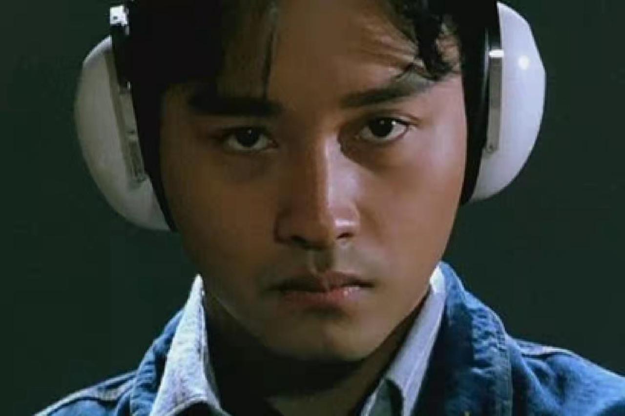 阿飞正传阿飞春光乍泄何宝荣霸王别姬程蝶衣东邪西毒