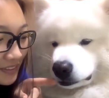 主人想把鼻屎塞进狗狗嘴里，结果被它看到后，瞬间怒了休闲区蓝鸢梦想 - Www.slyday.coM