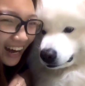 主人想把鼻屎塞进狗狗嘴里，结果被它看到后，瞬间怒了休闲区蓝鸢梦想 - Www.slyday.coM