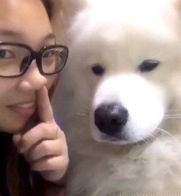 主人想把鼻屎塞进狗狗嘴里，结果被它看到后，瞬间怒了休闲区蓝鸢梦想 - Www.slyday.coM