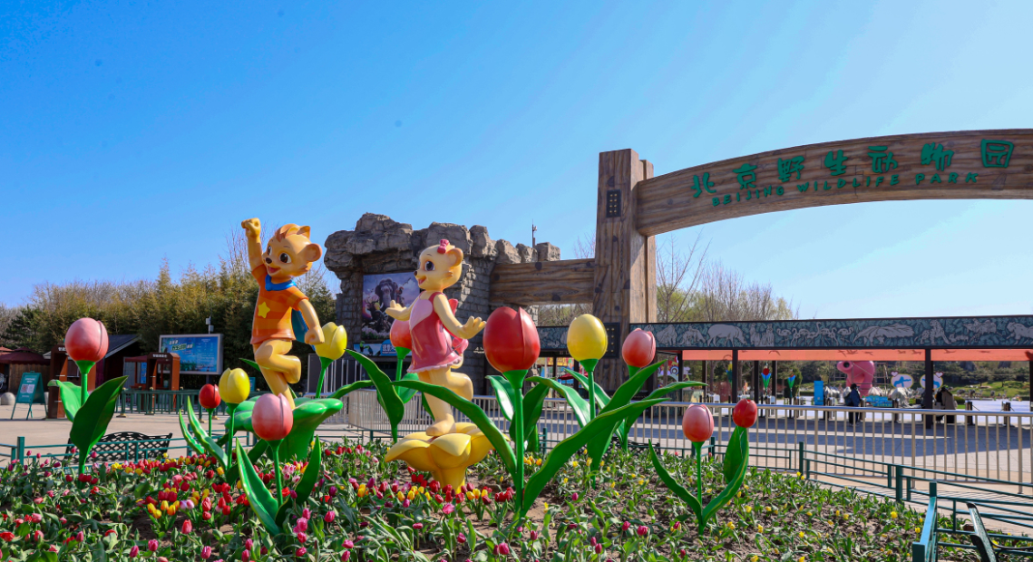 北京野生动物园开放时间调整可在花海间与百兽同行