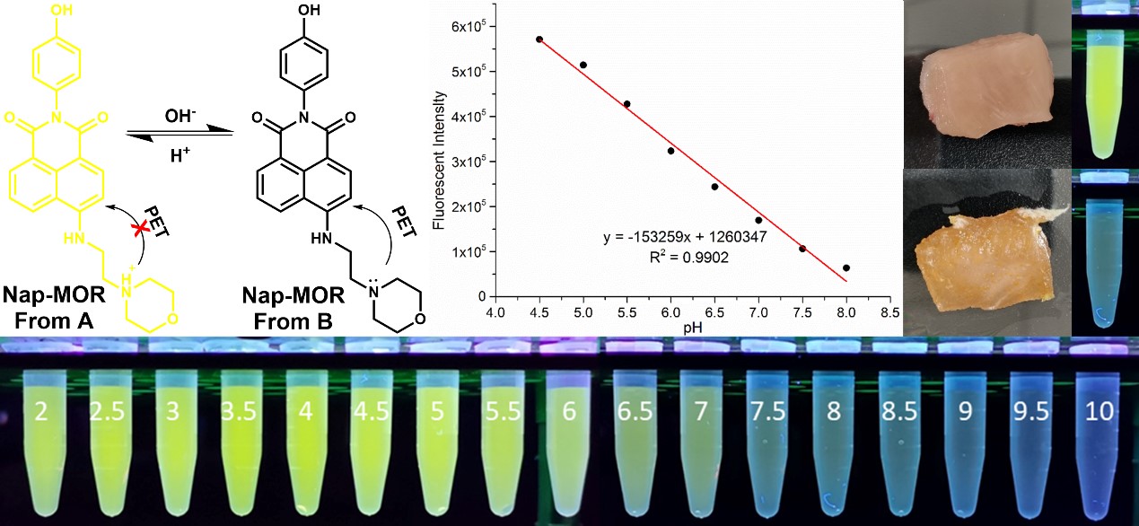 (图为基于小分子荧光探针的鸡肉新鲜度检测 中国农业科学院北京畜牧