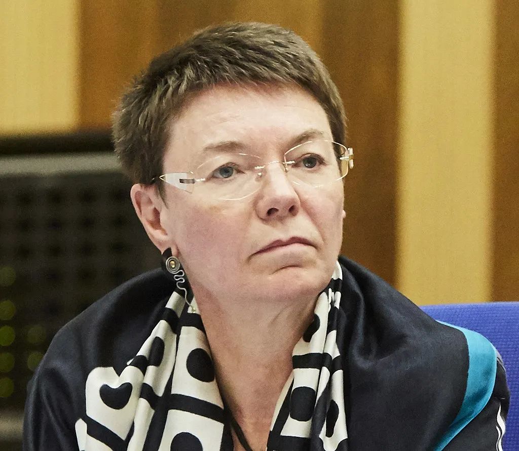 欧盟驻日大使有望成为新一任德国驻华大使