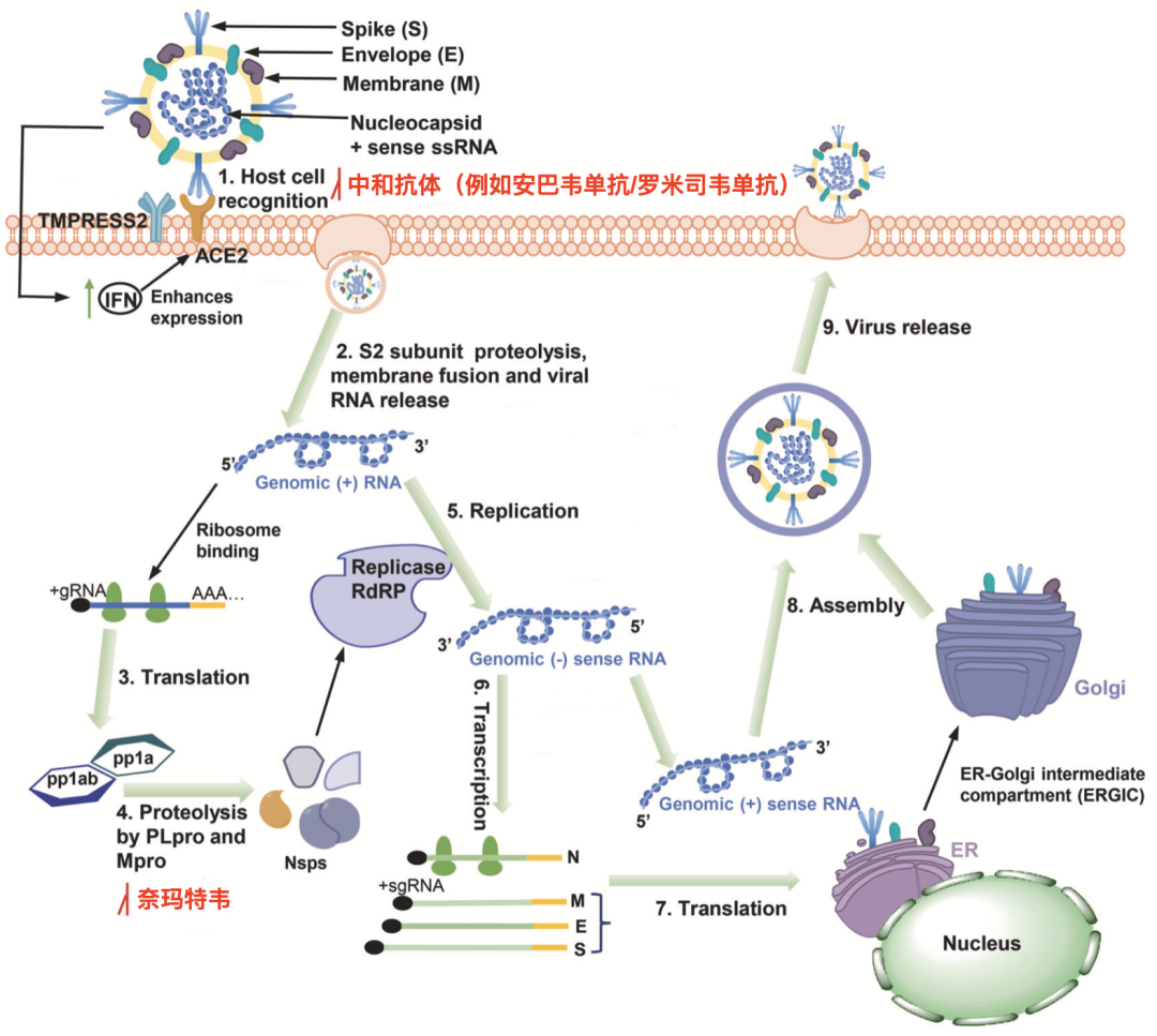 h3-2 seo搜索引擎优化