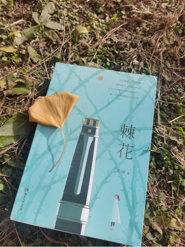 书评丨简媛新作《棘花》：职场女性奋斗和情爱的一面镜子