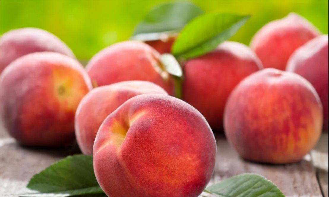 刚刚进入四月,家里要有的3种如意果,寓意福气东来福气绵绵休闲区蓝鸢梦想 - Www.slyday.coM 刚刚进入四月,家里要有的3种如意果,寓意福气东来福气绵绵休闲区蓝鸢梦想 - Www.slyday.coM