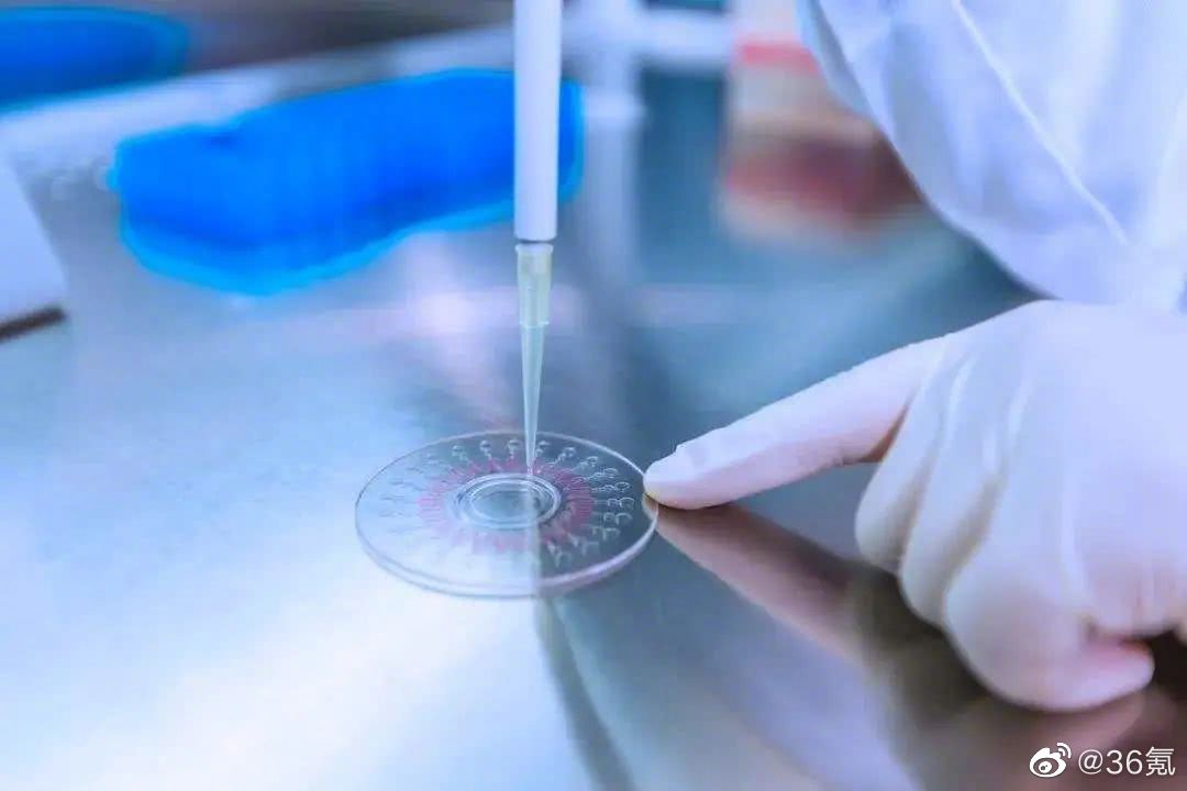 上海新增本土确诊260例无症状6051例，浦东新区实施分区分类、网格化管理休闲区蓝鸢梦想 - Www.slyday.coM