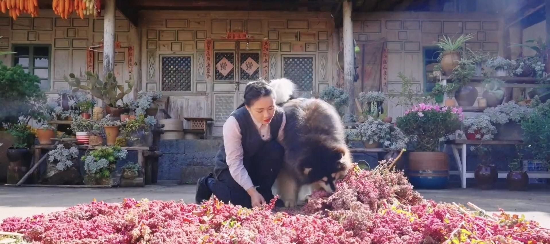 她，90后女孩，为走出大山努力读书考大学，为照顾父母又回到农村休闲区蓝鸢梦想 - Www.slyday.coM