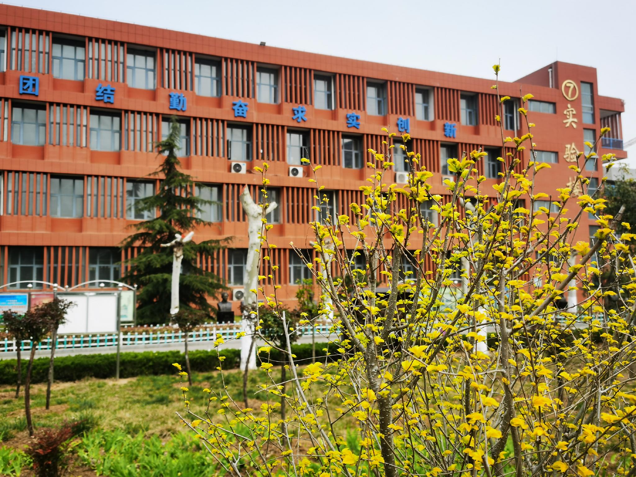 校园已春色待盼君归来泰安高新区第一中学校园春景