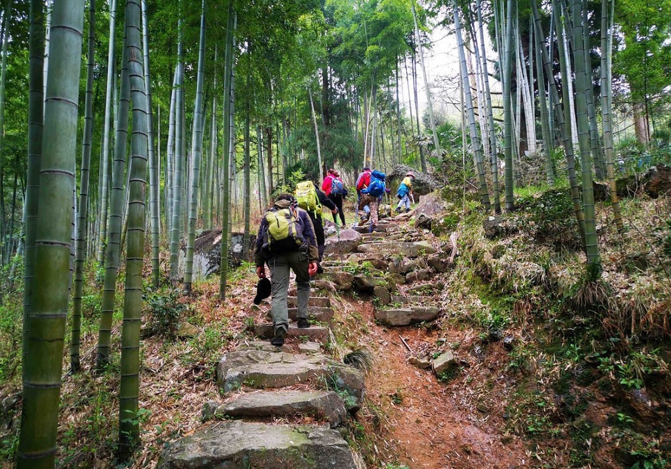 清明休闲哪里 湖州市十大古道探索之旅精品线路发布