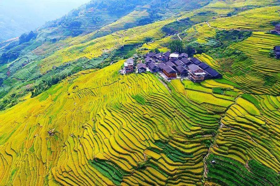 世界上最伟大的超级工程之一中国10大梯田能否惊艳到你
