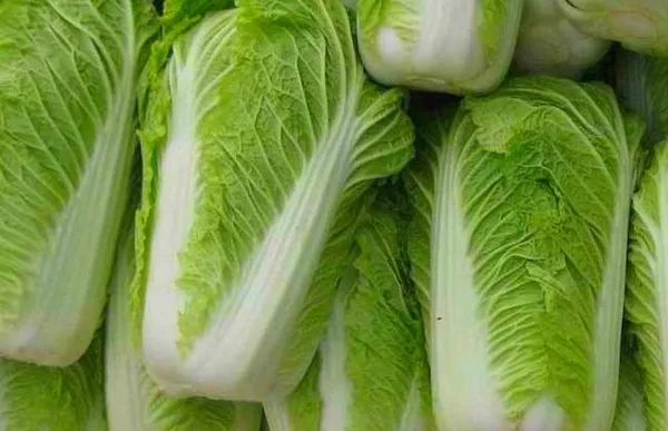 胶菜卷心菜白菜娃娃菜别傻傻分不清了