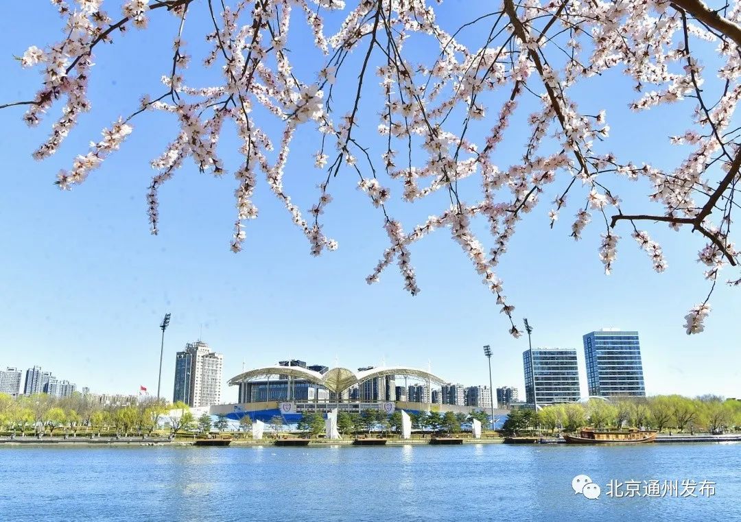 图|运河奥体公园